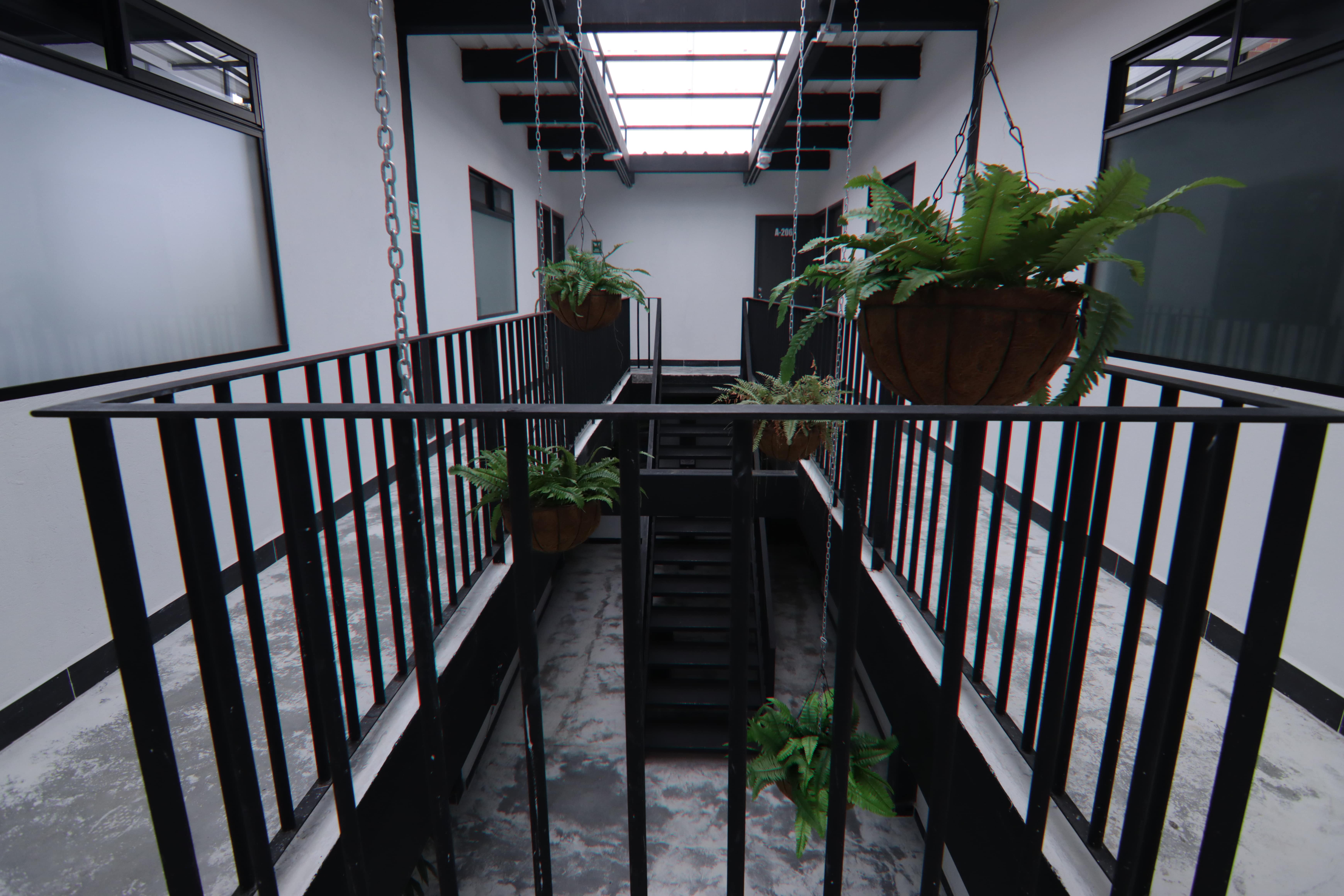 Gallery Thumb 6
