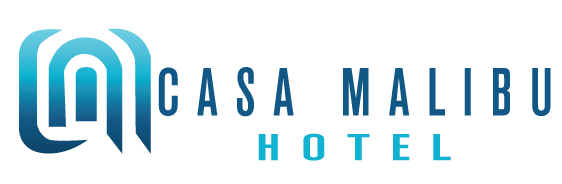 Canvas Logo